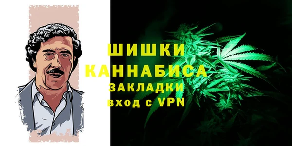 сатива Иннополис