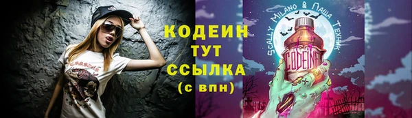соль ск Зеленодольск