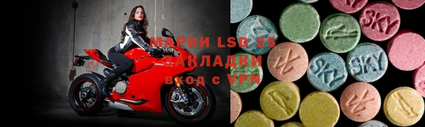 сатива Иннополис