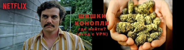 прущий лед Инсар