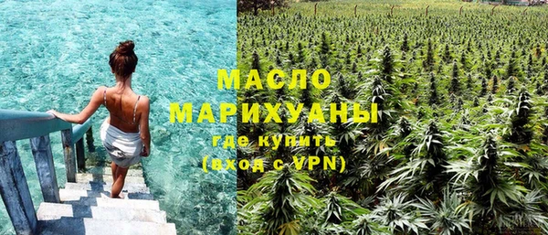 сатива Иннополис