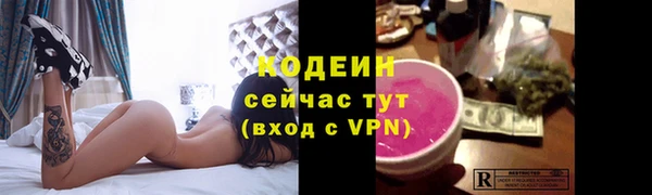 сатива Иннополис